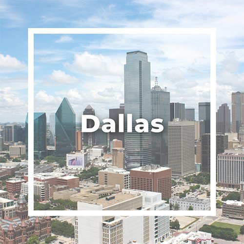 Readivet Location - Dallas TX